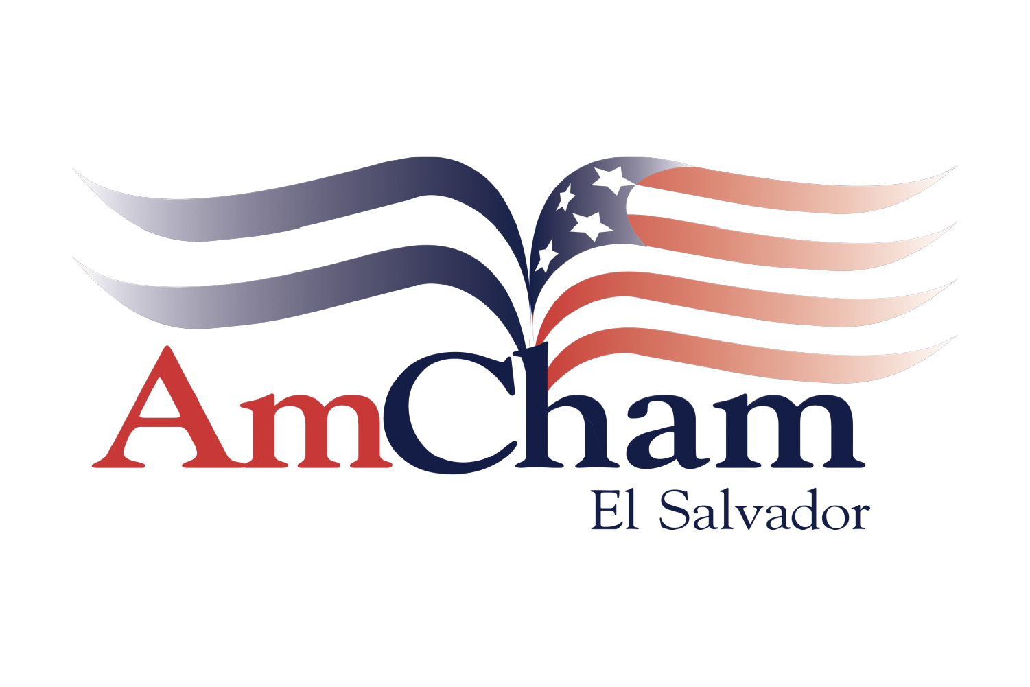 Amcham SV